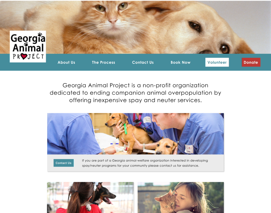 Georgia Animal Project